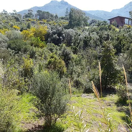 L'orto Portixeddu Sardegna פלומינימאג'ורה