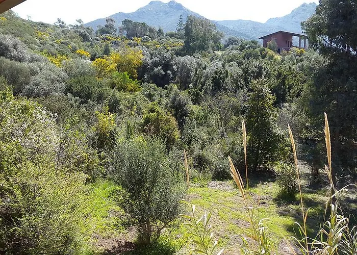 L'orto Portixeddu Sardegna Fluminimaggiore
